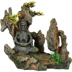 Europet Felsen mit Buddha -...