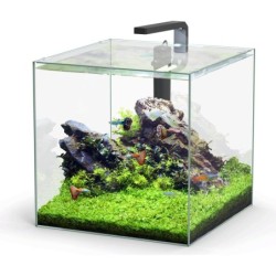 Aquatlantis Kubus 54 L LED...