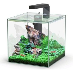 Aquatlantis Kubus 10 L LED...