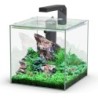 Aquatlantis Kubus 10 L LED Aquarienset - 1 Set