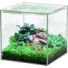 Aquatlantis Kubus Glas - 5L