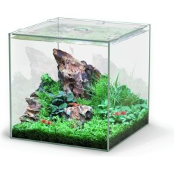 Aquatlantis Kubus Glas - 10L