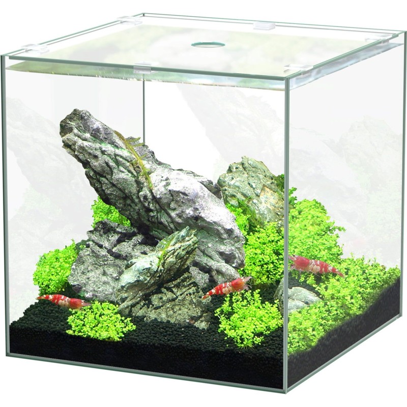 Aquatlantis Kubus Glas - 15L