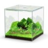 Aquatlantis Kubus Glas - 22L