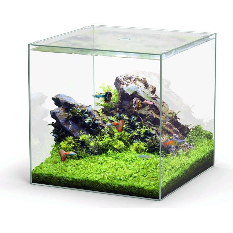 Aquatlantis Kubus Glas - 54L