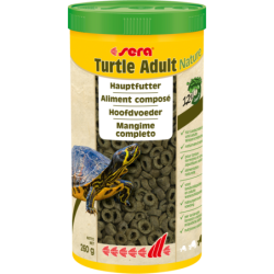 Sera Turtle Adult Nature -...