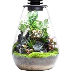 Bioloark Bio Bottle Modell SD - 175