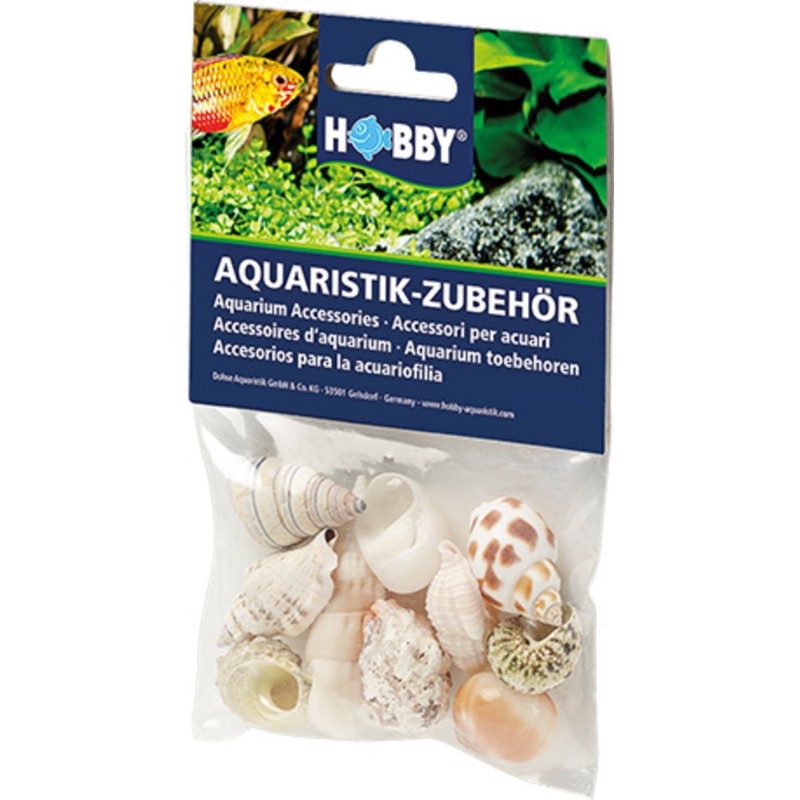 Hobby Sea Shells Set - mittel