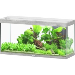 Aquatlantis Splendid 145 Esche Weiß Aquarium - 1 Set