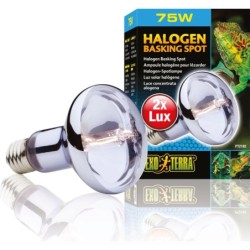 Exo Terra Sun Glo Halogen -...