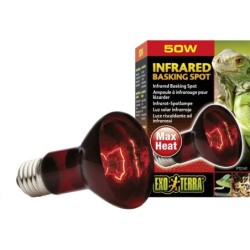 Exo Terra Infrarot-Spotlampe Heat GL - R20/50 W