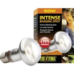 Exo Terra Intense Basking...