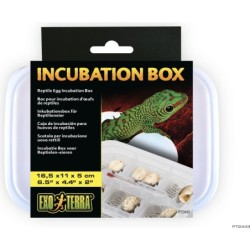 Exo Terra Inkubations-Box -...