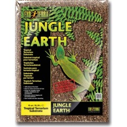 Jungle Earth Terrarium...