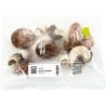 WIO SHELL SHELTER Mix2 - 2 l