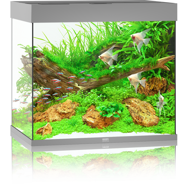 Juwel Lido 200 LED Aquarium - grau