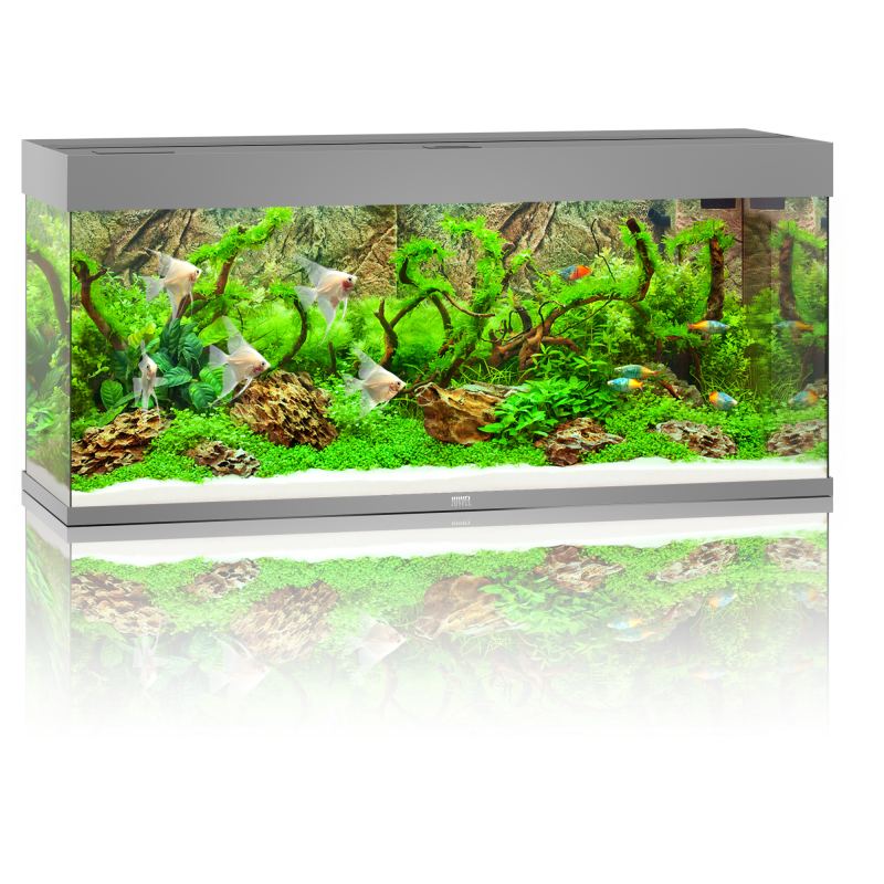 Juwel Rio 240 LED Aquarium - grau