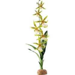 Exo Terra Spinnen Orchidee...