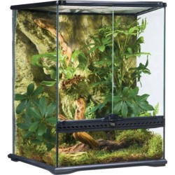 Glas Terrarium Small -...