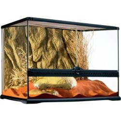 Glas Terrarium Medium -...