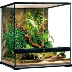 Glas Terrarium Medium -...