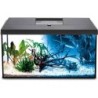 Aquael Aquarienset LEDDY Day&Night 60 2.0 - schwarz