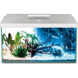 Aquael Aquarienset LEDDY Day&Night 60 2.0 - weiss