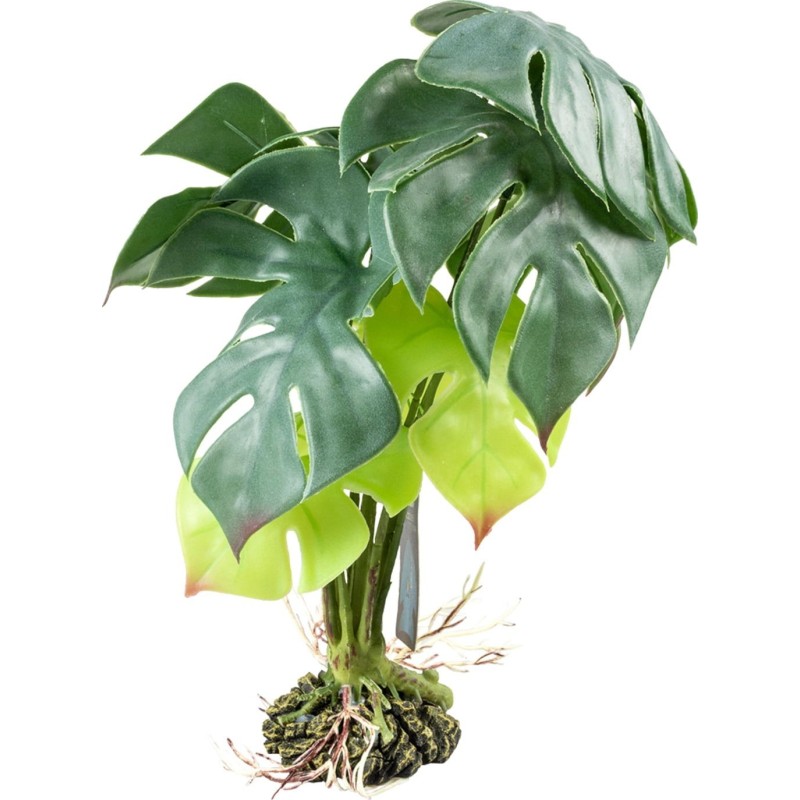 Terra Della Monstera grün