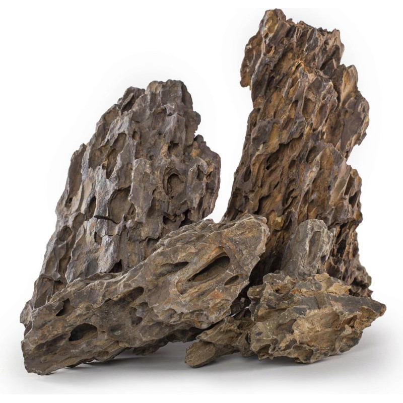 Olibetta Dragon Rocks - 5 KG