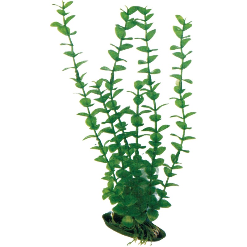 Amtra Kunststoff Aquariumpflanze Rotala - 12cm