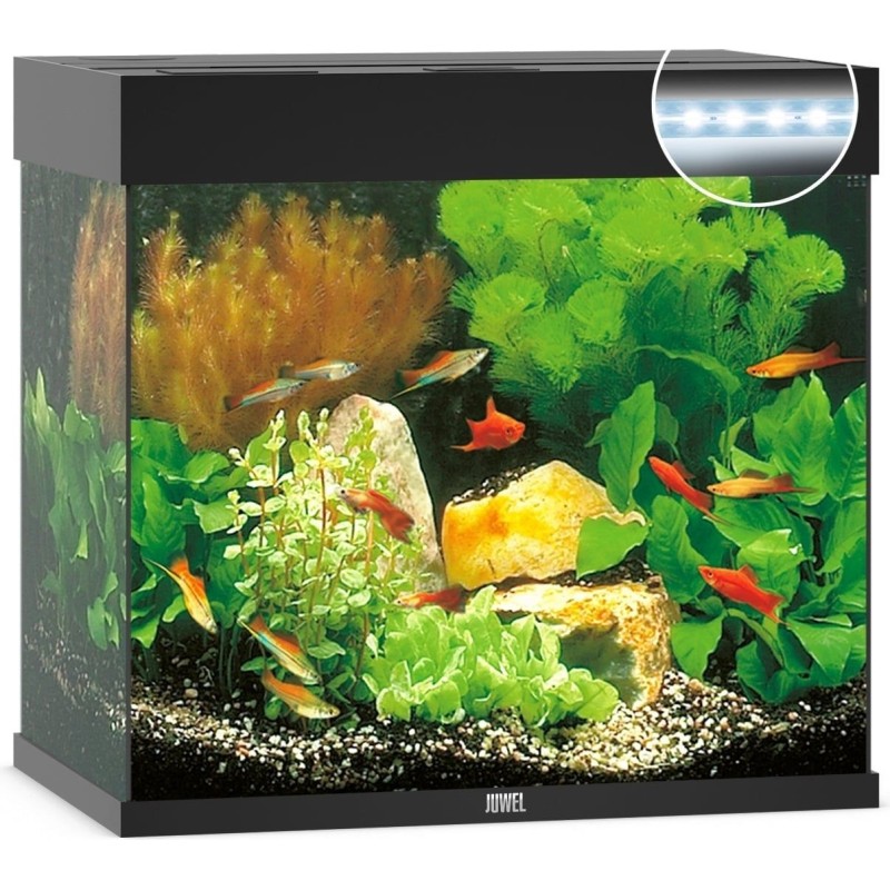 Juwel Lido 120 LED  Aquarium - schwarz