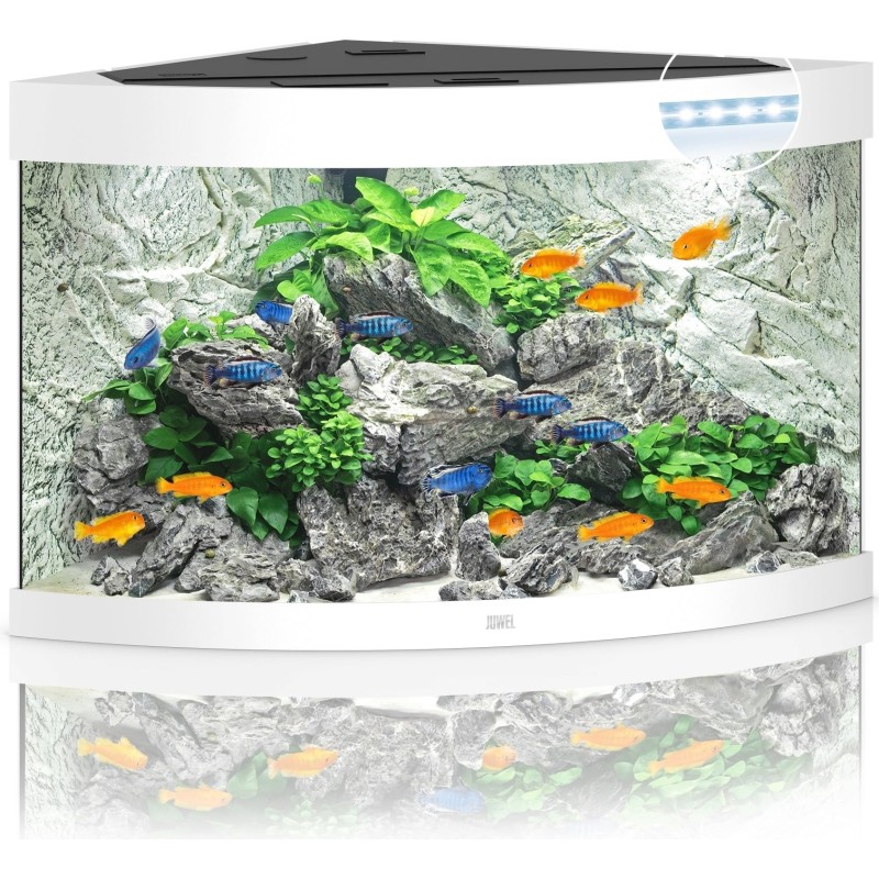 Juwel Trigon 190 LED Aquarium - weiß