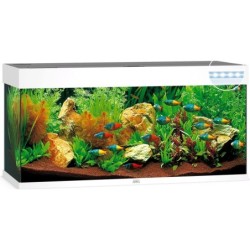 Juwel Rio 240 LED Aquarium - weiß