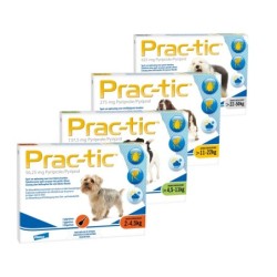 Prac-tic XS - 2 - 4,5 kg -...