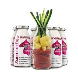 SmoothieDog Hundesmoothies