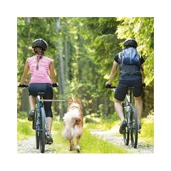 Walky-Dog Plus, die 3. Hand am Fahrrad