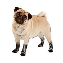 Hundesocken, Farbe:...