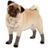 Hundesocken, Farbe: schwarz-grau