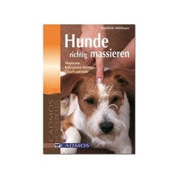 Hunde richtig massieren