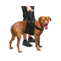 Beppo® Hunde-Gehhilfe "One-Size"