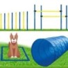 Dog Agility Set - groß -