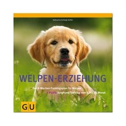 Welpen-Erziehung