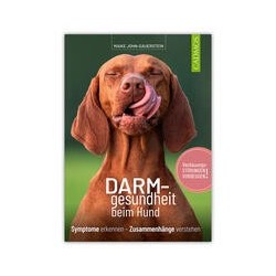 DARM-gesundheit beim Hund