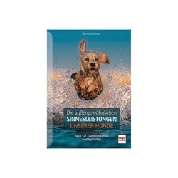 Die außergewöhnlichen Sinnesleistungen unserer Hunde