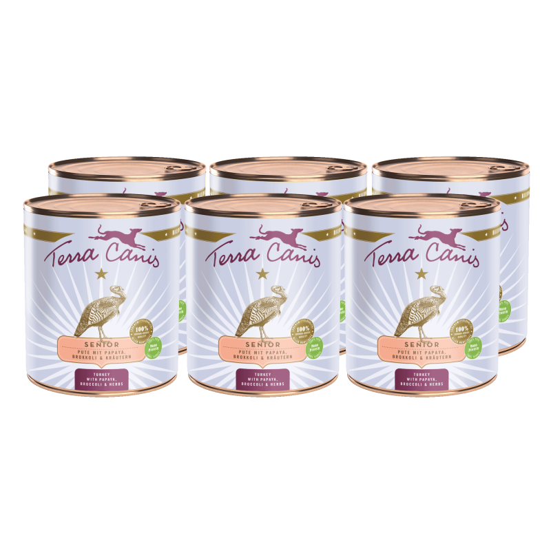 Terra Canis Senior | Pute mit Papaya, Brokkoli und Gesundheitskräutern 6x 800g