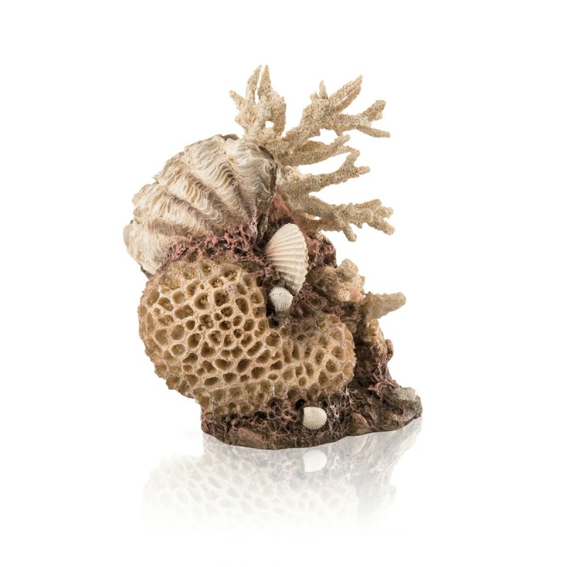 biOrb Korallen-Muschel Ornament natural (48360)