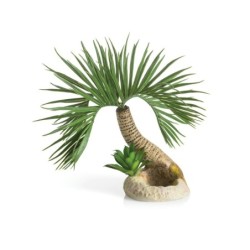 biOrb Palme Seychellen S (72679)