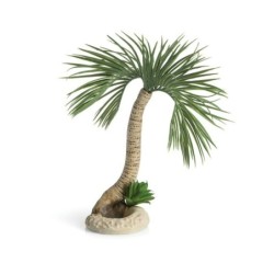 biOrb Palme Seychellen L...