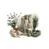 biOrb Decor Set Forest Rhythym