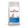 ROYAL CANIN FHN INDOOR Katzentrockenfutter 4 Kilogramm